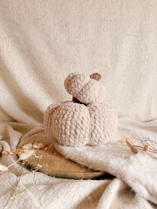 Kürbis „Cozy“